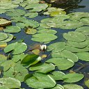 ���� �����, ������, 48 ��� - ��������� 9 ���� 2013