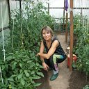 ���� �����, �������� - ��������� 12 ������� 2012 � ������ ���� ����������