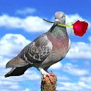 ���� Mr_h, �������, 46 ��� - ��������� 16 �������� 2012 � ������ �������