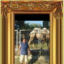 ���� ���������, �����, 42 ���� - ��������� 21 ��� 2012 � ������ ����� ������