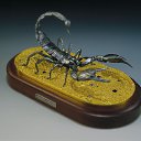 ���� �����, ������, 53 ���� - ��������� 11 ������ 2011