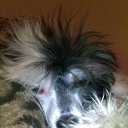 ����� ����))))))))))))) �� ������� ���� �������)�