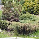  ,  -  26  2013    ""  2013 . 