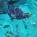 ������ ���� �������� ����� ����� ����� � ������ �� ������� ���� ����������