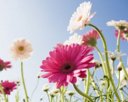 ���� ���������, ��������, 46 ��� - ��������� 21 ������ 2012