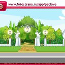 ���� ������, ������, 85 ��� - ��������� 11 ����� 2011 � ������ �PetLove�