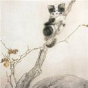 ���� Amindomano, ����� - ��������� 10 ������� 2010 � ������ ������