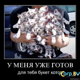 ���� Ell, �����, 38 ��� - ��������� 7 ���� 2010
