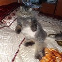 ���� �������, �������, 56 ��� - ��������� 27 ���� 2012 � ������ �������