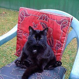 ���� ������, ������ - ��������� 17 ��� 2012