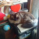 ���� ����, ������, 64 ���� - ��������� 1 ������� 2011 � ������ �������