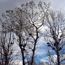 �����. ����� �������! �� ������� �������� �������