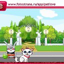  ,  -  10  2010   PetLove