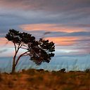 ���� Ju Kusenkova, �������, 38 ��� - ��������� 29 ������� 2010 � ������ ��������� � ��������