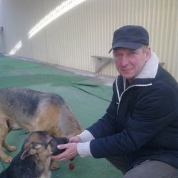 ������, ���������, 60 ���