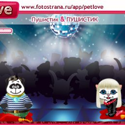 ���� ���� ���, �����, 43 ���� - ��������� 20 ������ 2011