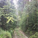 ���� ���, ������ - ��������� 5 ������� 2011 � ������ ���� �����������: � ������ � �������� ��������...�