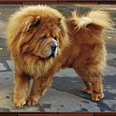 ���� ������� 224 ����, ������ - ��������� 8 ���� 2013 � ������ ������� ����