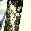 ���� �������, ������������ - ��������� 12 ������� 2011 � ������ ���������� ����