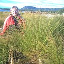 ���� ��������, ����-��� - ��������� 8 ��� 2011 � ������ ���� ����������