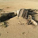 opus �11 �� ������� �������� � �����-�����, ������ �� �������!�