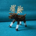 ���� ����, ��������, 36 ��� - ��������� 29 ������� 2011 � ������ ���� ������ �� ������