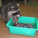 ���� Nika, ���������, 85 ��� - ��������� 10 ������ 2010 � ������ ������ �����!�