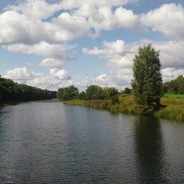 ���� ������, ����, 33 ���� - ��������� 11 �������� 2011