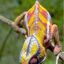 ���� ��������, ������ - ��������� 14 ������ 2011 � ������ ����������