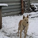 ���� ����, ������, 50 ��� - ��������� 9 �������� 2012 � ������ �������