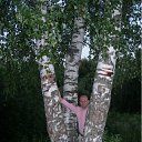 ���� ���������� ������, ����, 72 ���� - ��������� 20 ������� 2011 � ������ ���� ����������