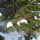 ���� ������, �����-���������, 66 ��� - ��������� 1 ������ 2012 � ������ ����� 2012 ����.�