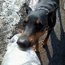 ������ :3 �� ������� �������