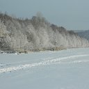 ���� Ne Golosuiu, �����������, 86 ��� - ��������� 31 ������ 2012 � ������ ���� ����������