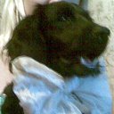 ���� ������, ����� - ��������� 9 ������ 2010 � ������ ���� ��������