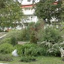 ���� ���������.��., ���������� �����, 85 ��� - ��������� 22 ���� 2012 � ������ ������ � "����� ����"�