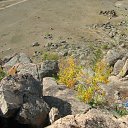 ���� �������, ����-���, 59 ��� - ��������� 22 �������� 2012 � ������ �������