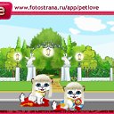  -, -, 48  -  19  2011   PetLove