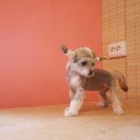 ���� ������ �����, �����, 37 ��� - ��������� 2 ������� 2012 � ������ ���� ����������