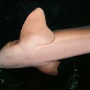 ����� ����� �� ������� ������� ���� �������