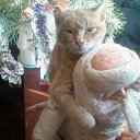 ���� Yrii, �������, 52 ���� - ��������� 17 ������ 2010 � ������ ������