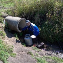 ������ ������, ������, 74 ����