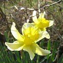 ���� ������, �����, 61 ��� - ��������� 21 ��� 2012 � ������ ���� ����������