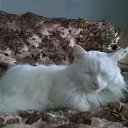 ���� Nadya, ����, 37 ��� - ��������� 2 ������� 2010 � ������ �������