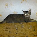 ���� ������, ������, 41 ��� - ��������� 14 ������ 2011