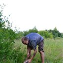 ���� �����, �������� - ��������� 15 ������ 2012 � ������ ���� ����������