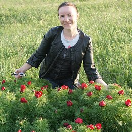 ���� �������, �����-���������, 47 ��� - ��������� 11 ��� 2013