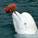 ���� ������, ���������, 47 ��� - ��������� 7 ����� 2013 � ������ ���� ����������