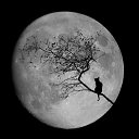 ���� Ave Nocturna, ��������, 48 ��� - ��������� 6 ���� 2012 � ������ �������