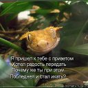 ���� ��������, �������� - ��������� 11 ����� 2012 � ������ �������� ��������